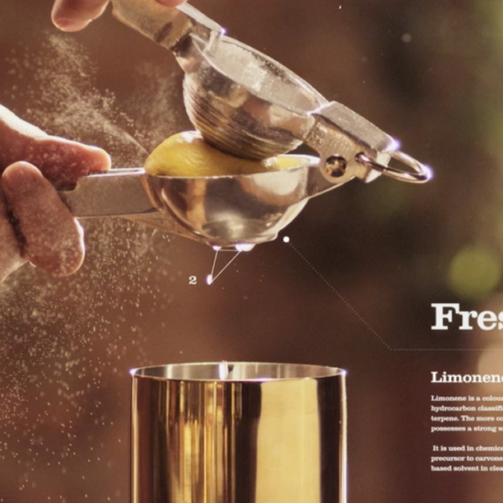 disaronno-video-detail-lemon